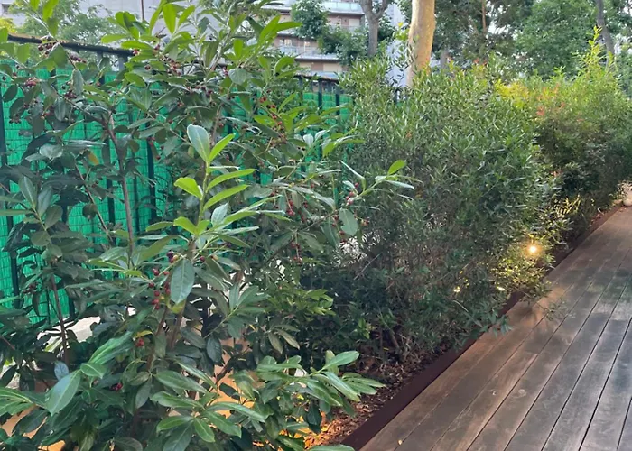 Superbe Appartement Refait Avec Terrasse