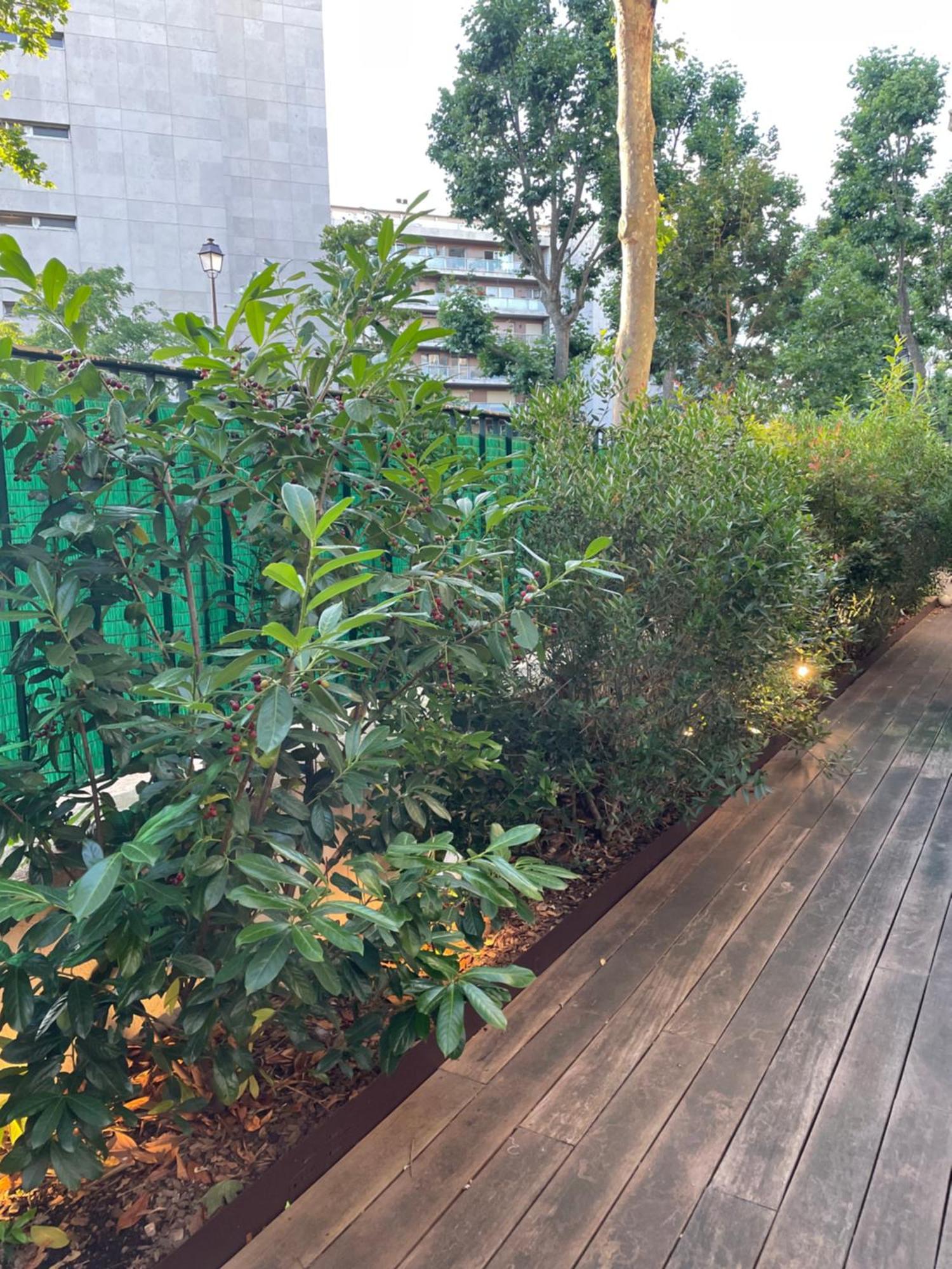 Superbe Refait Avec Terrasse Apartment